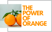 Orange Power Logo